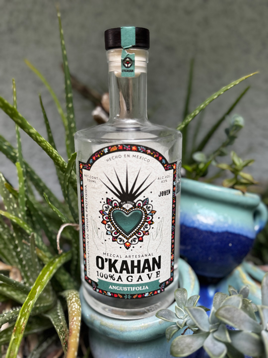 O’Kahan Agave Angustifolia Mezcal